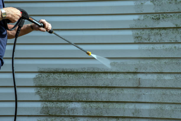 Best Local Pressure Washing Services  in Clinton, MO